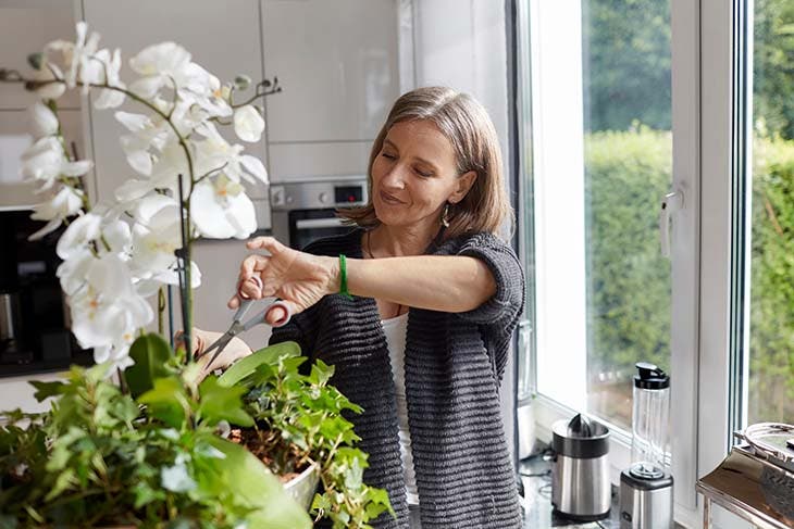 Orchidée : comment avoir une belle floraison et conserver la plante en bonne santé ? 5 arroser orchidée